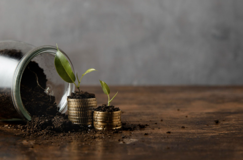 صندوق سرمایه‌گذاری جسورانه