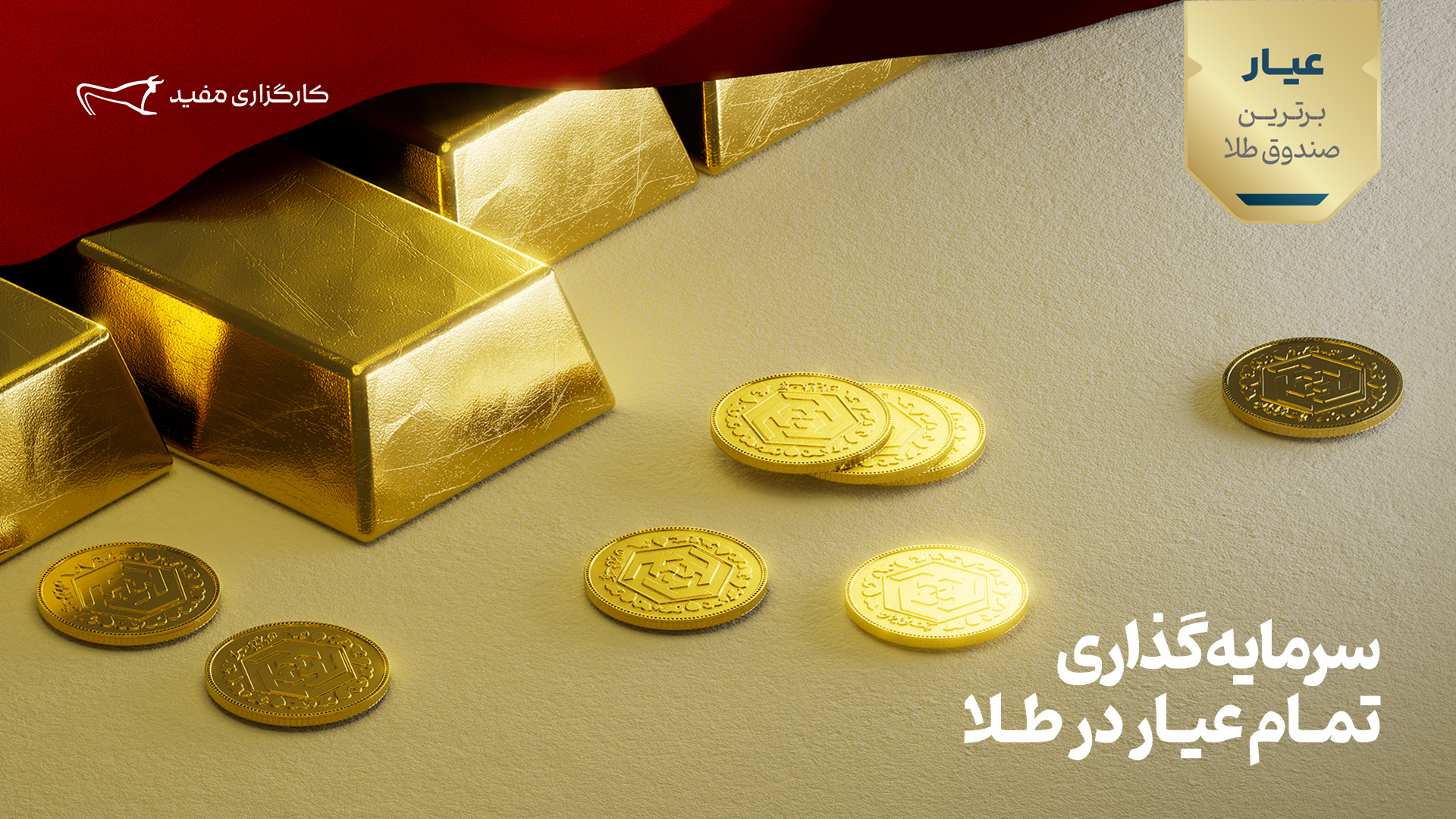 سرمایه گذاری تمام عیار