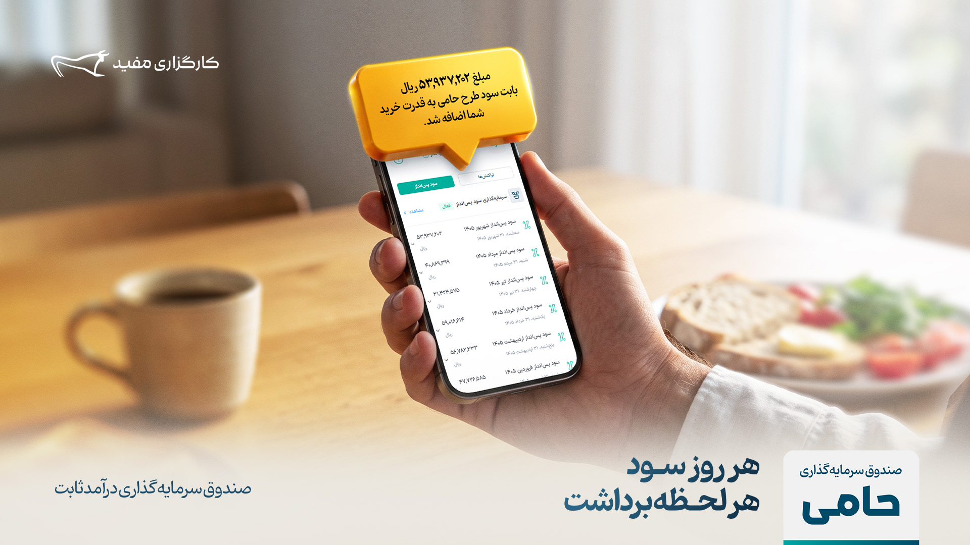 حامی